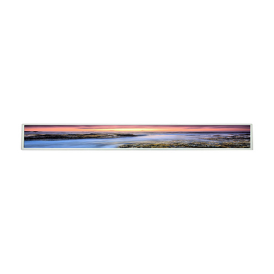 28.6인치 LCD 패널 LG LD290EJN-FPN1 LCD 화면 바닥 서 있는 디스플레이 패널