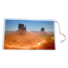 HSD090IFW1-A00 한킨스타 9.0 인치 1024*600 TFT ips LCD 스크린 패널 표시장치