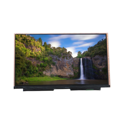 VVX17F162H00 16.5 인치 450 cd/m2 LVDS LCD 디스플레이 화면 패널