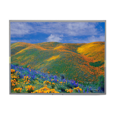 LM2013-TLWEK3 20.1인치 1680*1050 TFT LCD 패널 모듈
