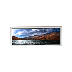 AV078ZAU-N10 자동차 디스플레이용 7.8 인치 LCD 패널 화면
