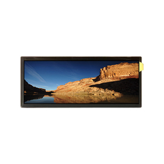 AV123Z7M-N18-DDP1 12.3 인치 LCD 화면 LCD 모듈