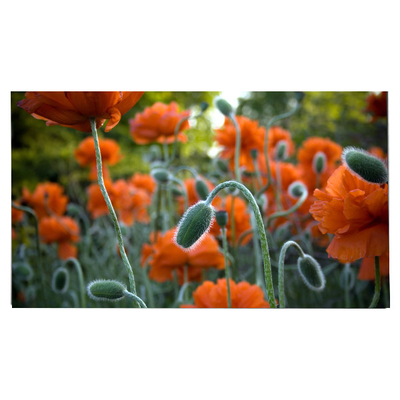 LM270WR8-SSC1 27.0인치 LCD 패널 3840*2160 LCD 디스플레이