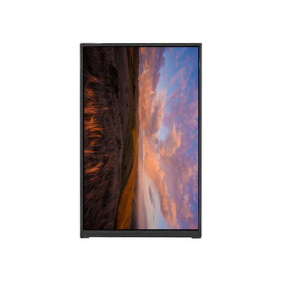 BP096WX1-100 9.6인치 LCD 화면 LCD 디스플레이 모듈