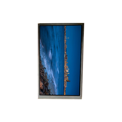 BS052FHG-N30-6C00 5.2 인치 LCD 디스플레이 LCD 화면 패널