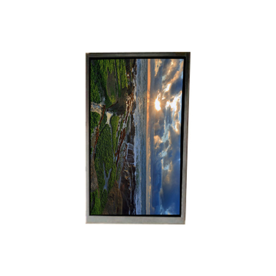 BS053HDG-N50-6200 5.2 인치 LCD 디스플레이 LCD 화면 패널 휴대 전화
