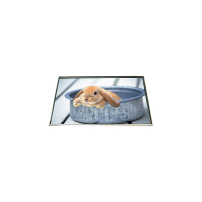 LP173WD1-TLH5 17.3 인치 60Hz LCD 패널 컴퓨터용 화면