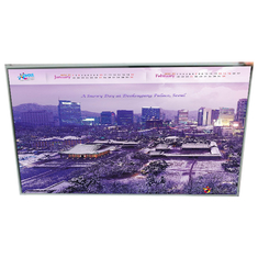 LD550DUN-TGA4 55.0 인치 FHD S-IPS LCD 디스플레이 화면