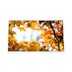 LS800JT6001 8.0인치 800*600 262K 60%NTSC 게임용 LCD 화면