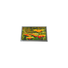 핫 판매 8.0 인치 AM-800600P4TMQW-B0H-E TFT LCD 화면 모니터