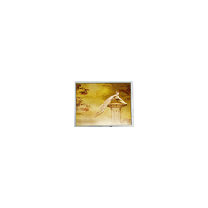 TFT1920720-1 12.3인치 LCD 모듈 화면 부품