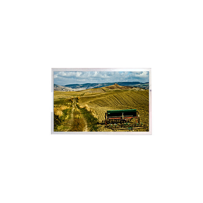 10.1인치 LCD 패널 디스플레이 RV101FBB-N02-V1 새로운 LCD 화면