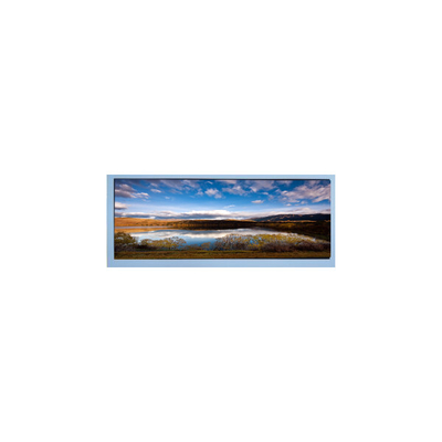 M102AWF2 R2 10.3 인치 1920*720 LCD 화면 디스플레이 패널