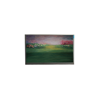 LCD 화면 13.3 인치 R133NWF4 RB LCD 모듈