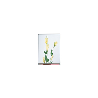C059SWR1-0 5.9인치 LCD 화면 디스플레이 패널
