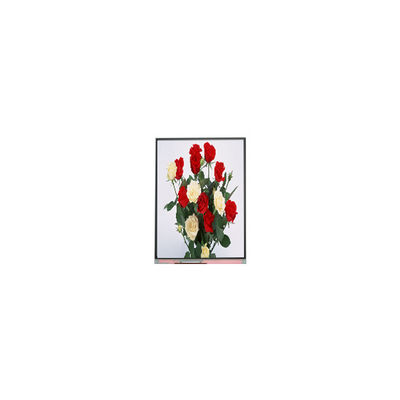 720*1480 LCD 화면 디스플레이 패널 6.3 인치 C063SWR1-0