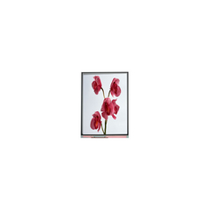 480*960 C060SWY7-0 6.0 인치 LCD 스크린