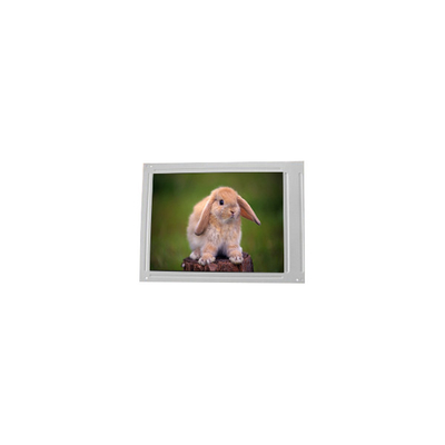 F055A25-604 5.5인치 720*1440 LCD 화면 패널