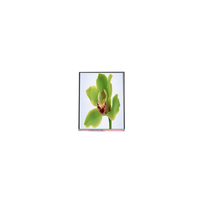 50.0인치 TFT LCD 화면 480*854 C050SWYG-3