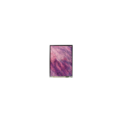 52인치 LS052T3SX15 1080*1920 LCD 화면