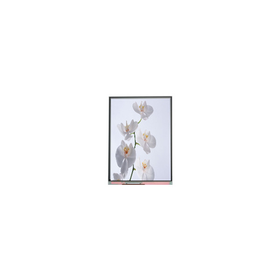 C060SWR6-1 6.0 인치 720*1528 LCD 화면 패널
