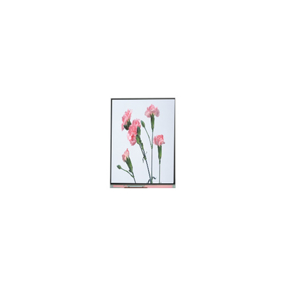 C060SWA3-3 6.0 인치 720*1280 LCD 화면