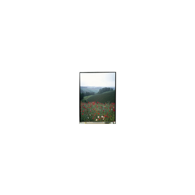 5.5인치 LS055B1SX01B 터치로 장착된 LCD 패널