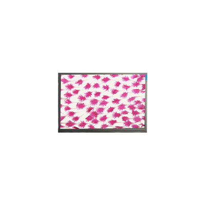 90.0인치 800*480 LCD 스크린 디스플레이 E090SWP1 R2 LCD 패널