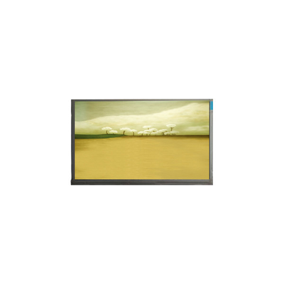 21.5인치 M215HJK-L3B LCD 화면 패널 1920*1080 LCD 디스플레이