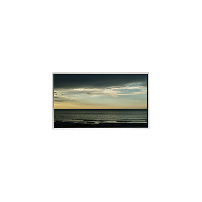 TT101WSB-NW0 LCD 패널 10.1 인치 1024*600 LCD 디스플레이