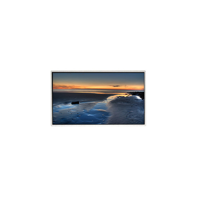 TT090WSQ-N10 9.0 인치 1024 * 600 LCD 화면 디스플레이 패널