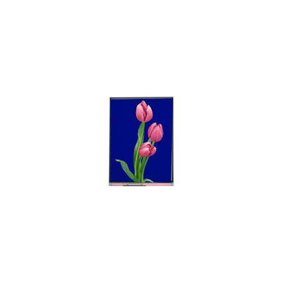 C055SWF4 R0 LCD 모듈 5.5인치 TFT LCD 디스플레이