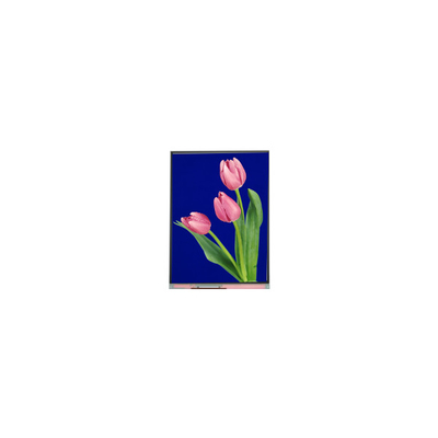 새 5.4인치 C054SWZ4-1 540*960 LCD 화면