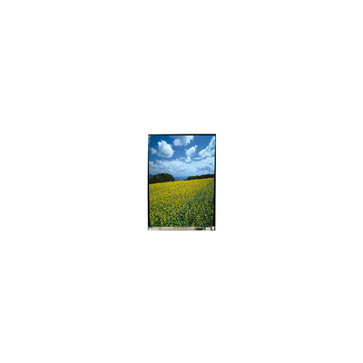 LS054T3SX01A 오리지널 5.4 인치 MIPI 인터페이스 1080*1920 TFT LCD 모듈