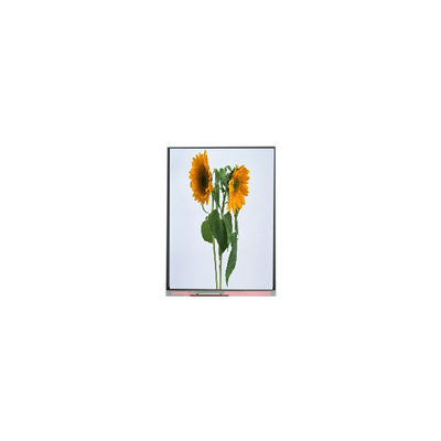 9.0 인치 IVO LCD 패널 C090SWT3-0 1024*600 LCD 디스플레이 모듈