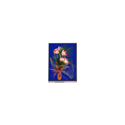 5.4인치 LCD 패널 540*960 C054SWN1-1 LCD 디스플레이 모듈