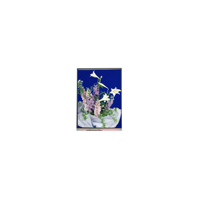 C054SWN1 R0 tft LCD 화면 5.4 인치 LCD 패널