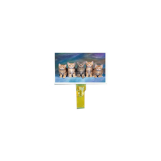 TM070RDH11 7.0 인치 800*480 LCD 디스플레이 화면