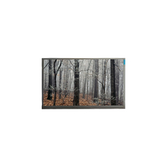 MT200LW01 V.0 20.0 인치 30 핀 LCD 패널 디스플레이