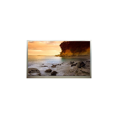 S201P1 20.1인치 1400*1050 LCD 화면 60Hz LCD 디스플레이