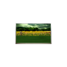 15.6인치 N156B3-L01 1366*768 60Hz LCD 화면 재고 있음