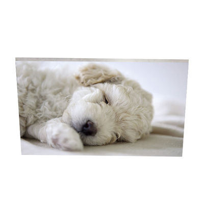 좋은 가격 (3H) 데스크톱이 모니터링하는 AUO AUO 23.8 