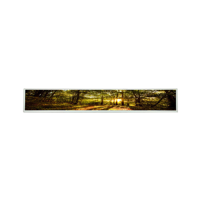 좋은 가격 LSI290LN01 29는 a-SI TFT-LCD LCM 디스플레이 모듈로 조금씩 움직입니다 온라인으로