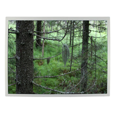 좋은 가격 12.1 인치 82 생산자 물가지수 LCD 스크린 LQ121S1LG79  산업적이 LCD TFT 디스플레이 온라인으로