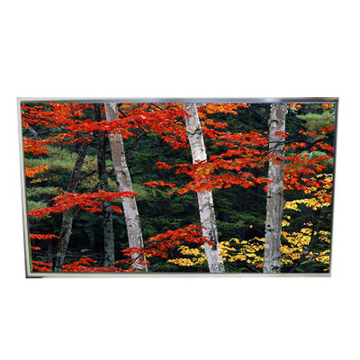 좋은 가격 LD980DQL-SMA1 98.0 인치 오리지널 LCD 3840*2160 LCD 화면 온라인으로