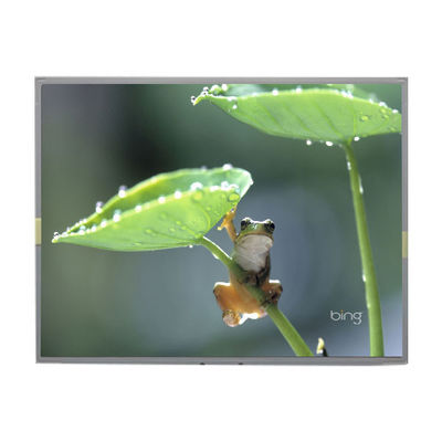 좋은 가격 LM2013-TLFWE1 원본 20.1 인치 LCD 디스플레이 화면 온라인으로