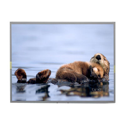 좋은 가격 LM2013-TLWEJ1 20.1인치 1680*1050 TFT LCD 패널 디스플레이 온라인으로