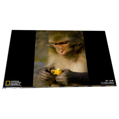 좋은 가격 LM238WF6-SSA1 1920*1080 23.8 인치 TFT LCD 디스플레이 모듈 패널 온라인으로