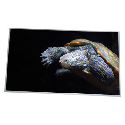 좋은 가격 LM300W01-STA2 새로운 30.0 인치 2560*1600 LCD 화면 디스플레이 온라인으로