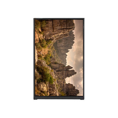 좋은 가격 BP096WX2-100 9.6인치 LCD 화면 LCD 디스플레이 모듈 패널 온라인으로